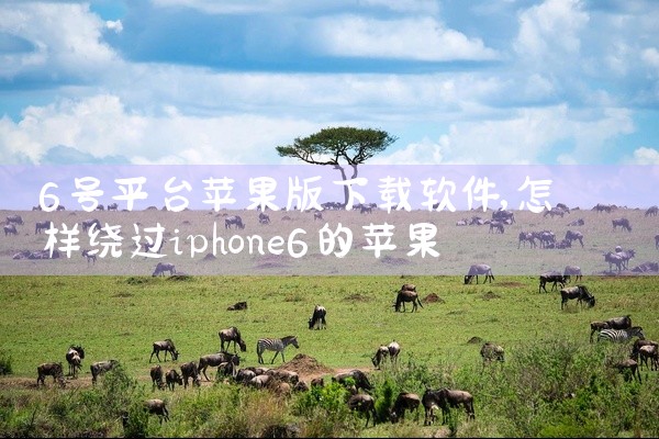 6号平台苹果版下载软件