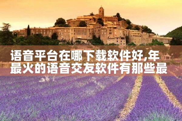语音平台在哪下载软件好