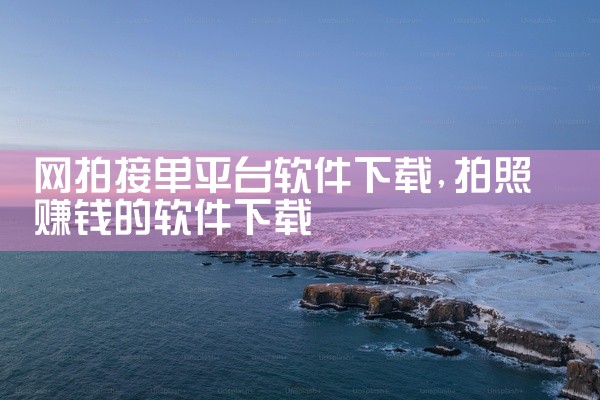 网拍接单平台软件下载