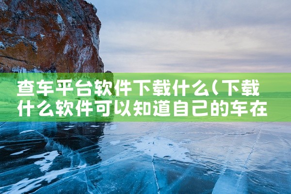 查车平台软件下载什么
