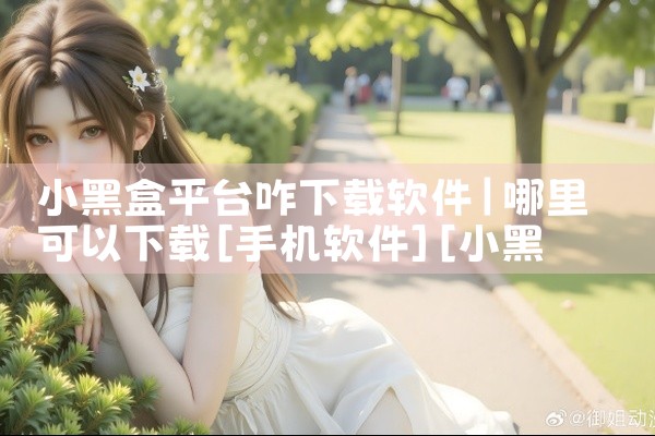 小黑盒平台咋下载软件