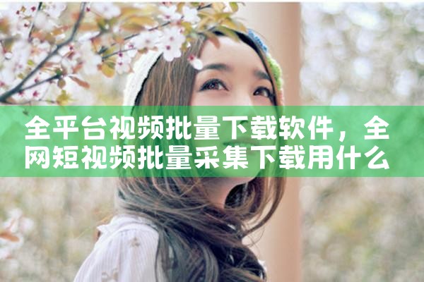 全平台视频批量下载软件
