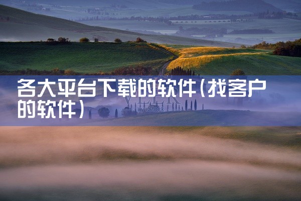 各大平台下载的软件