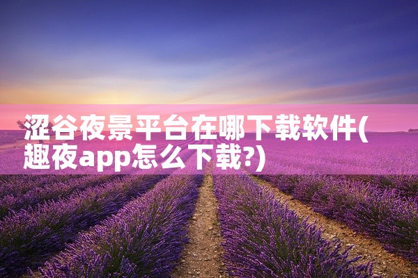 涩谷夜景平台在哪下载软件