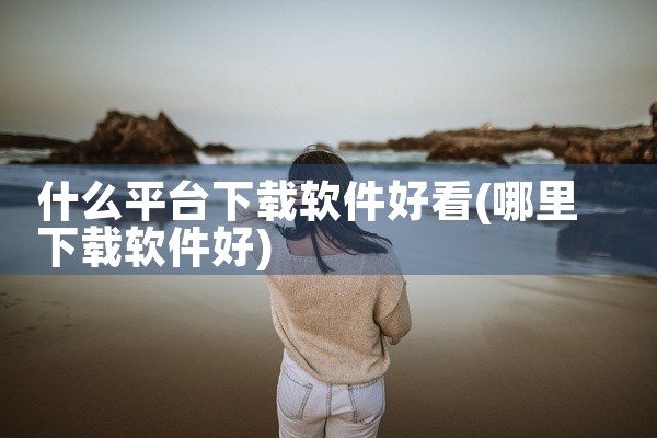 什么平台下载软件好看