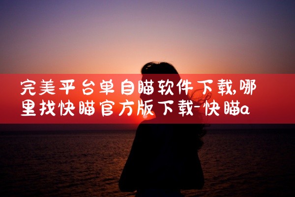 完美平台单自瞄软件下载