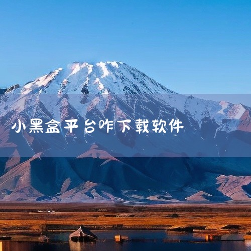 小黑盒正版是一款名称标注为正版、2026官方版、安卓版及最新版的移动应用。该软件定位为日常工具使用场景,适合希望快速完成常见操作并保持体验稳定的用户。小黑盒通常与游戏社区相关,适用于需要游戏资讯、社区,