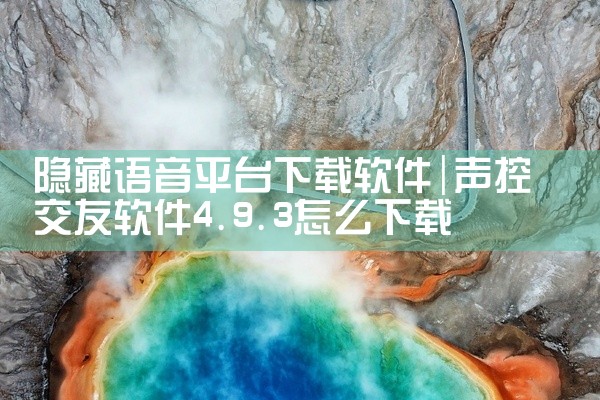 隐藏语音平台下载软件