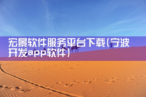 宏景软件服务平台下载